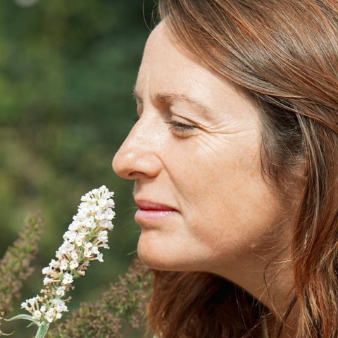 Elisa Chanonier, coach professionnelle et formatrice, respirant une fleur de buddleia dans un jardin